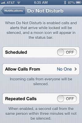 iPhone Do Not Disturb Setting Screen