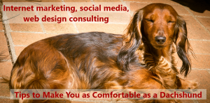 Internet Marketing, social media, web design consulting that makes you as comfortable as a dachshund!